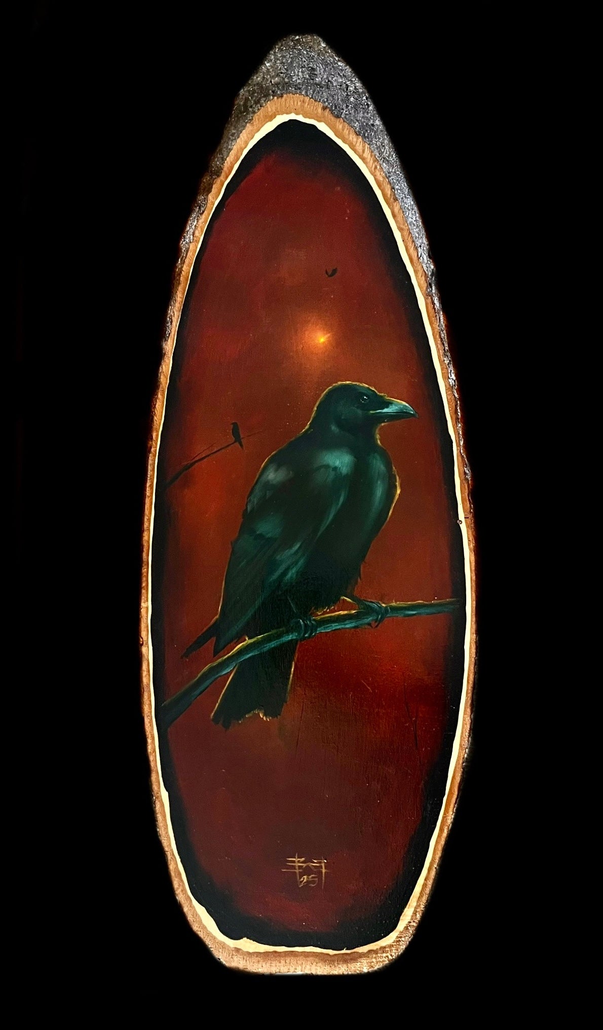 The Observer