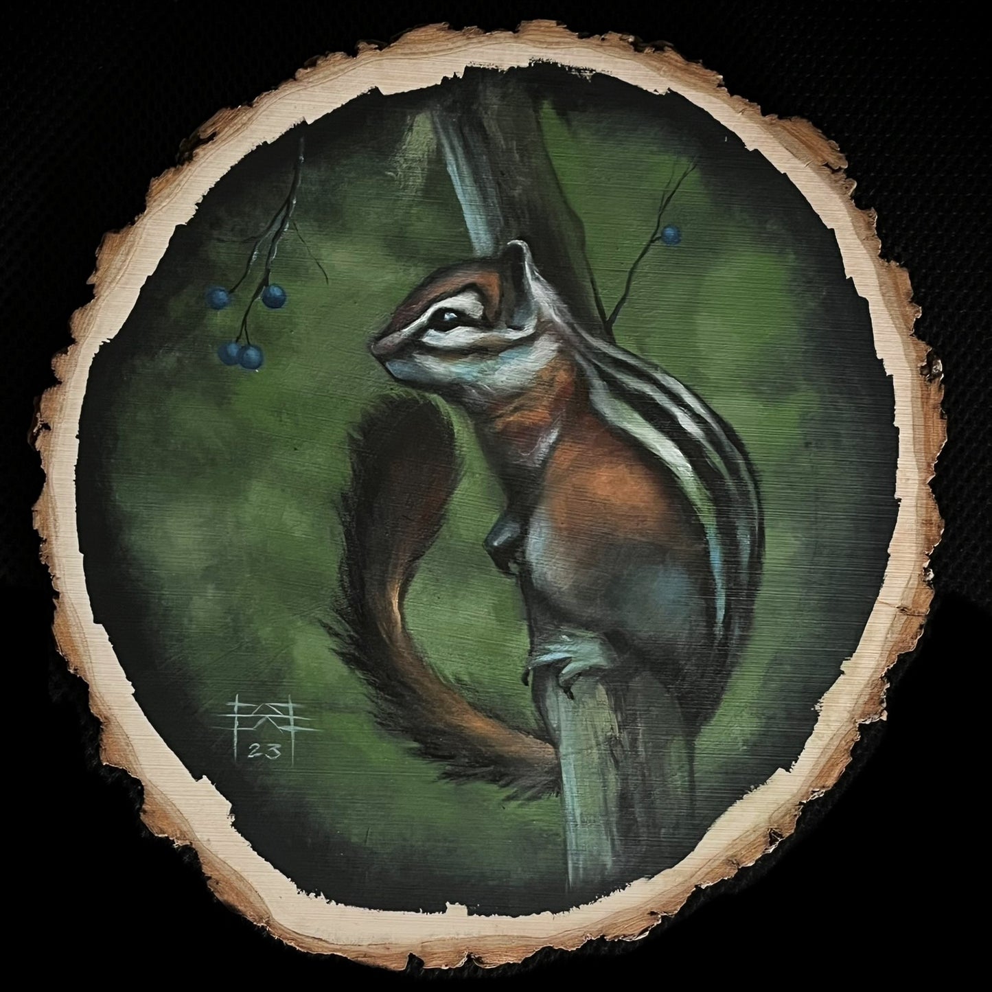 Chipmunk On A Branch